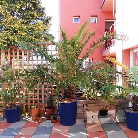Penzión Vilka Podhájčanka Podhájska Exteriör bild
